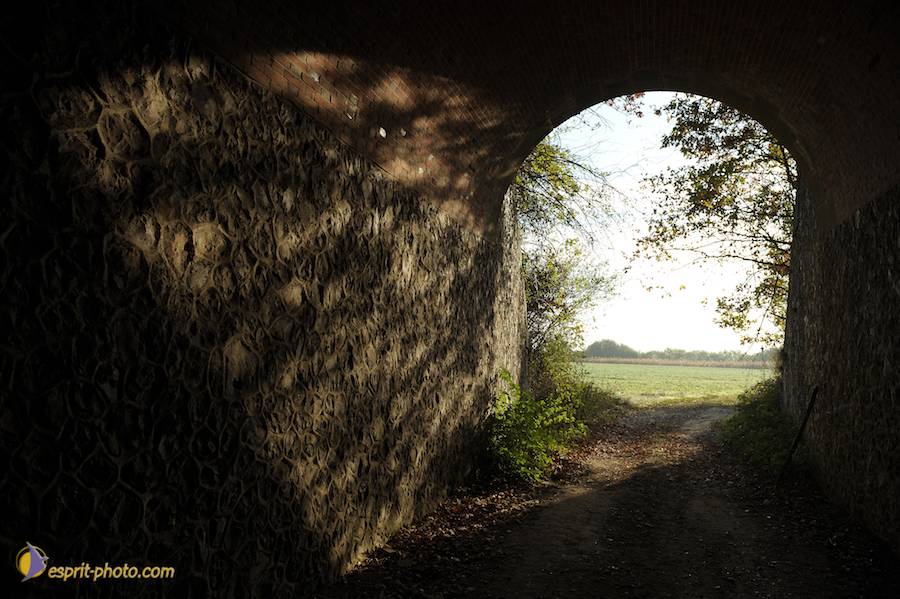 Nom de l'image : D30082954_1_(c)Norbert-JUNG — Description :